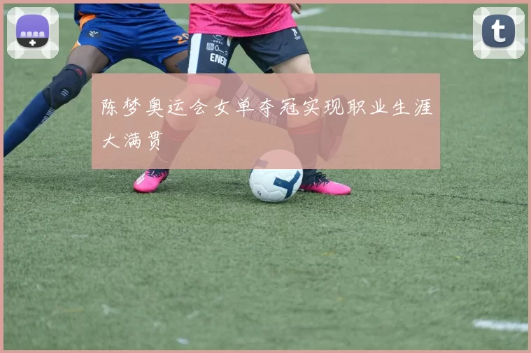 陈梦奥运会女单夺冠实现职业生涯大满贯