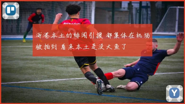 海港本土的绯闻引援 都集体在机场被拍到 看来本土是没大鱼了