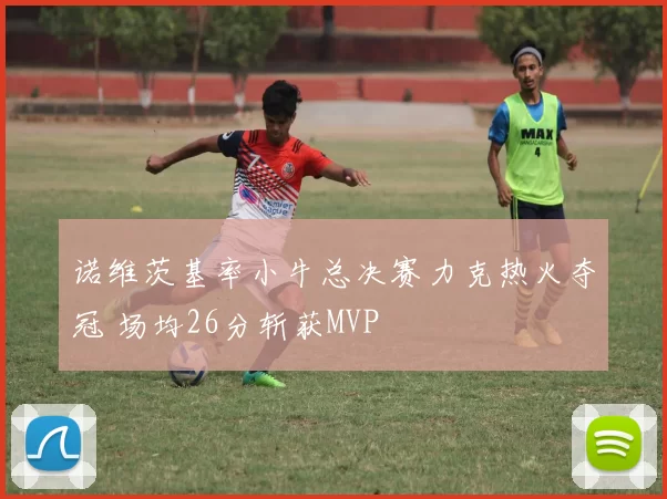 诺维茨基率小牛总决赛力克热火夺冠 场均26分斩获MVP