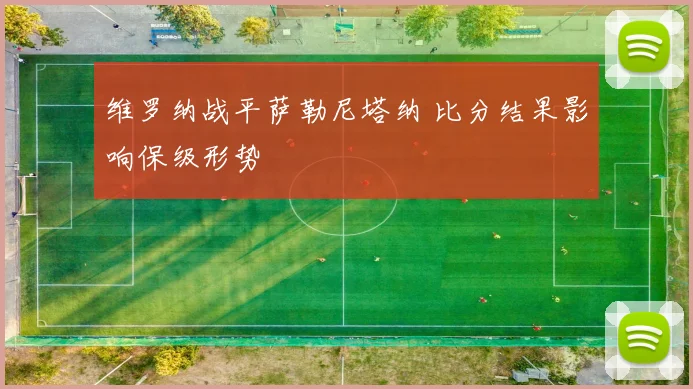 维罗纳战平萨勒尼塔纳 比分结果影响保级形势